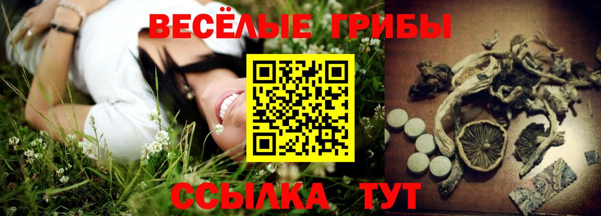 Псилоцибиновые грибы прущие грибы  Вход с VPN  где можно купить наркотик  Оренбург 